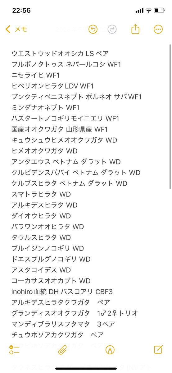 shota_kikori's tweet photo. 5月10日

昆虫バカ野郎！！

BMSのイベントの内容はあらゆるWDからの累代品またWDそれまた背景が追えるCB
やはりWDからの間違いのない累代が何よりも価値が有ります😄

今回も用品たくさん持って行きます🔥

ブリードシーズン前に安価にてご購入頂けますので、是非明日BMSまで是非お越し下さいませ😆 https://t.co/gfZkWUjMYQ