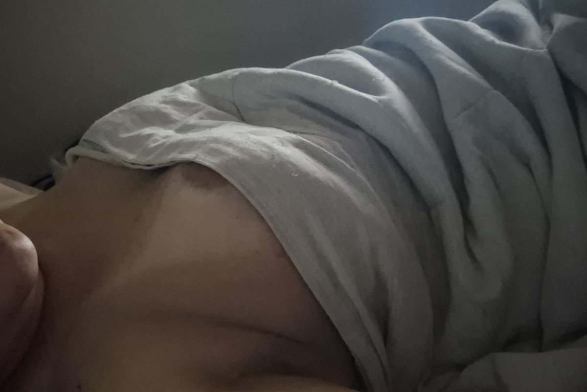 KsalShy's tweet photo. Bom dia!! Minha cama ta tao boa..preguiça de levantar https://t.co/urZMikJ7Pv