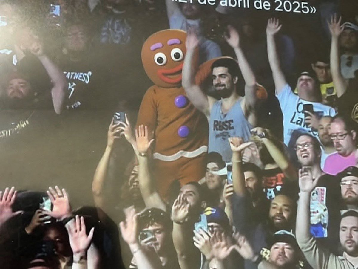 El hombre de jengibre siempre nos acompaño