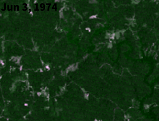 Sekai_WX's tweet photo. I think I may have  found an undocumented tornado from the 1974 Super Outbreak.

The scar is NE of Curtis Crossroads, AL and over Lewis Smith Lake. It is between the Guin, AL F5 and Jasper, AL F4.

The track doesn't appear until after 4/3 and orientation matches 4/3 storm motion. https://t.co/lGBBlDbisu