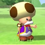 LuigiKittyKat's tweet photo. Unpopular opinion on Toadsworth? https://t.co/eatwTO3eKK