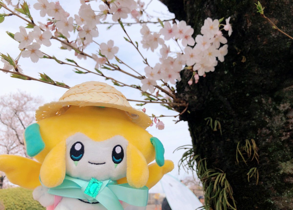 ✩𝚝𝚠𝚒𝚗𝚔𝚕𝚎✩ tweet media