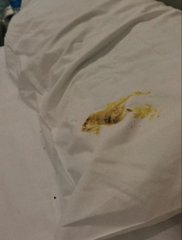 刚刚拍的       猛攻🥵 

你们要的第一视角来啦！刚刚拍的       猛攻🥵 你们要的第一视角来啦！！！       注意调低音量📷       ▶︎ •၊၊||၊|။||||။၊|• 15:25

！！       

注意调低音量📷       

▶︎ •၊၊||၊|။||||။၊|• 15:25 https://t.co/nbearq2PTj