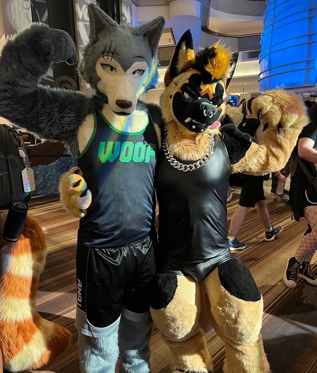 Moose (Differmitt) 🔜 FWA???? tweet media