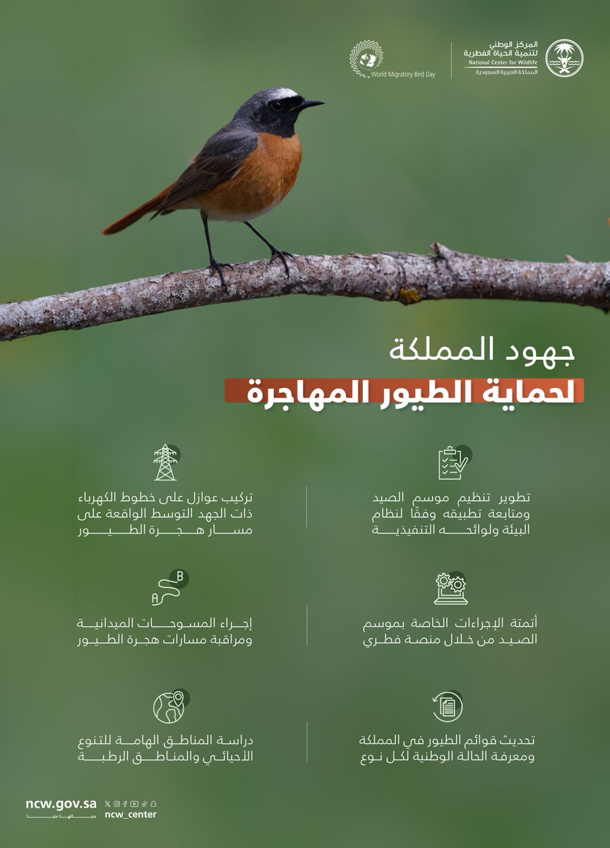 المركز الوطني لتنمية الحياة الفطرية tweet media