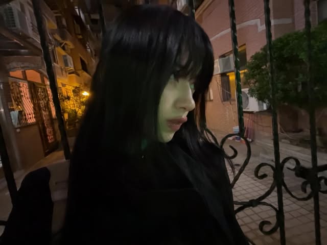 taintedcurses's tweet photo. strolling around all by myself to clear my head && romanticize my life a little… didnt expect to run into this pretty lil catto tho o.O & people kept saying the cat kinda looks like me ?? #_HELP ???? so… do we agree her name should be littol mayayoiE? :3 https://t.co/btCtUZ0BVl