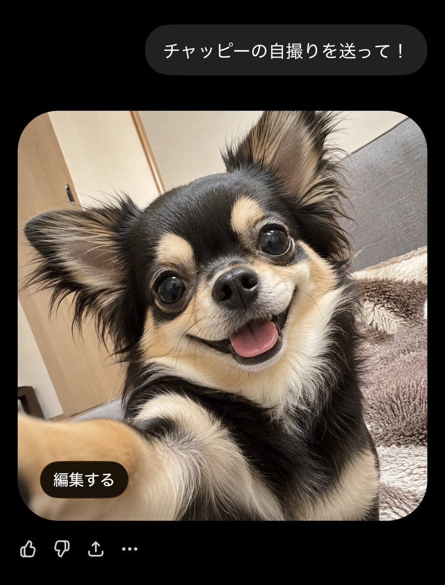 ワイのチャッピー、犬だった🐶
