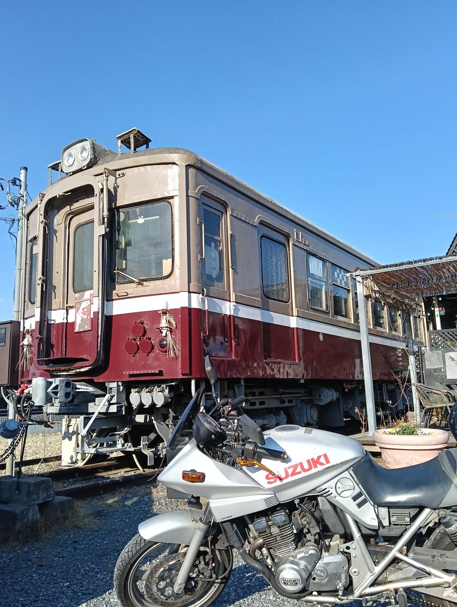 電車食堂 マスタードシード tweet media