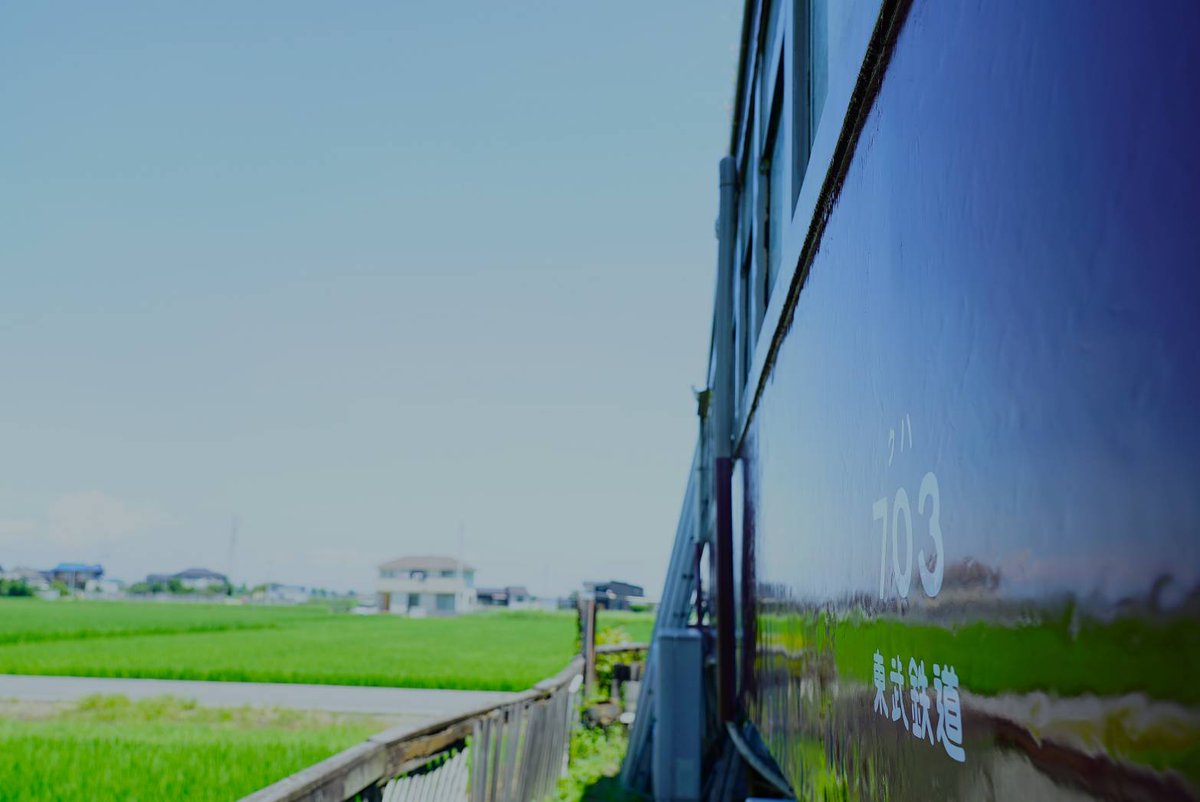 電車食堂 マスタードシード tweet media
