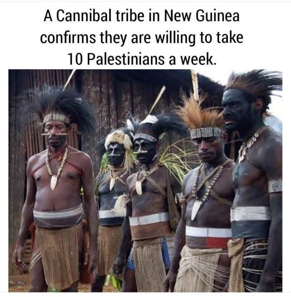 Indigenous International tweet media