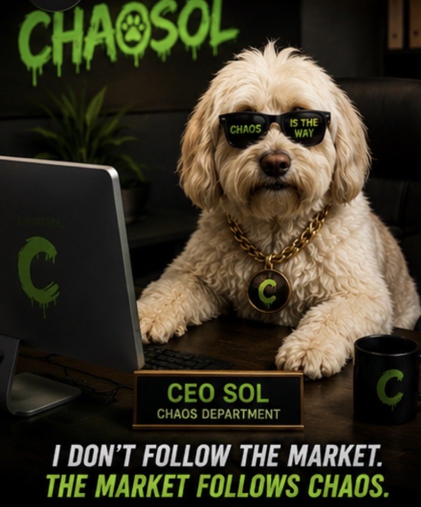 CHAOSOL tweet media