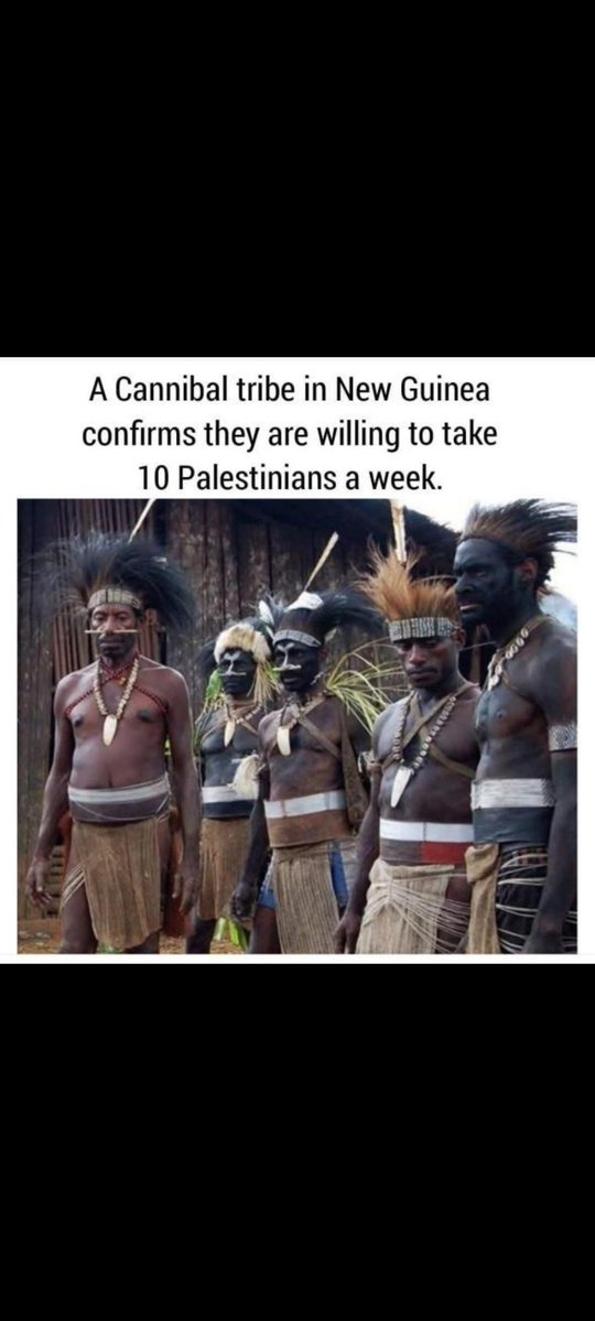 Indigenous International tweet media