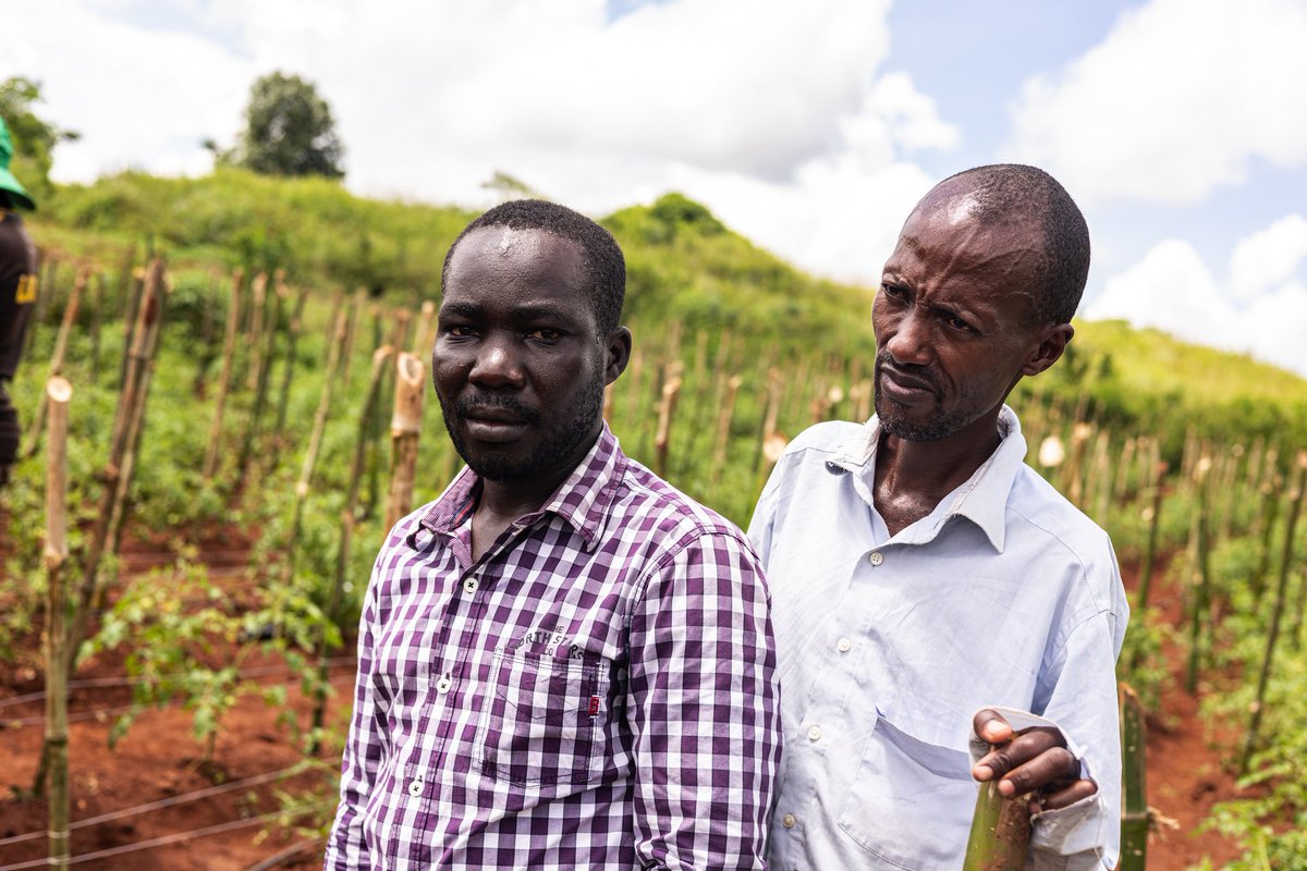 BukoolaChemical's tweet photo. Moments captured during the EZOATE.Launch in Mukono as farmers explored practical ways to manage pests and improve crop performance.
#BukoolaChemicals #EZOATE #SmartFarming #HealthyCrops #UgandaFarmers #Agribusiness https://t.co/2cPn15G4L3