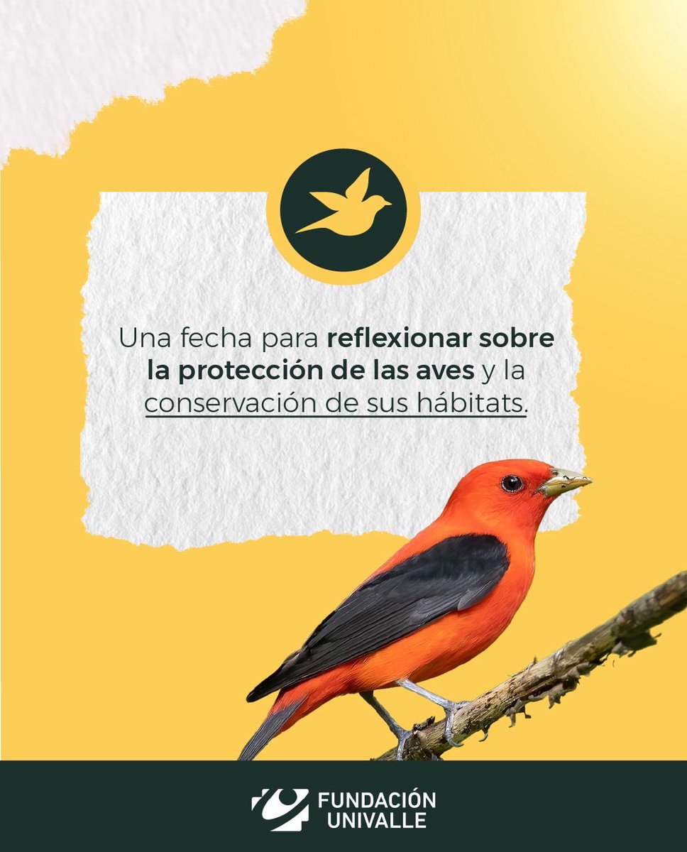 FundacionUnivalleCali tweet media