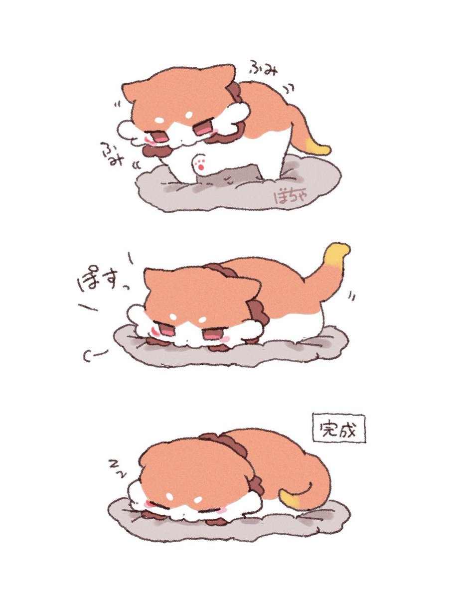 ぼちゃ tweet media