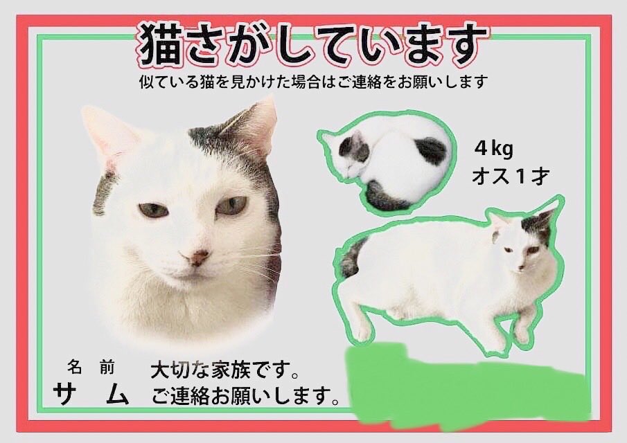 岡田 光衣(ヤキソバパン） tweet media