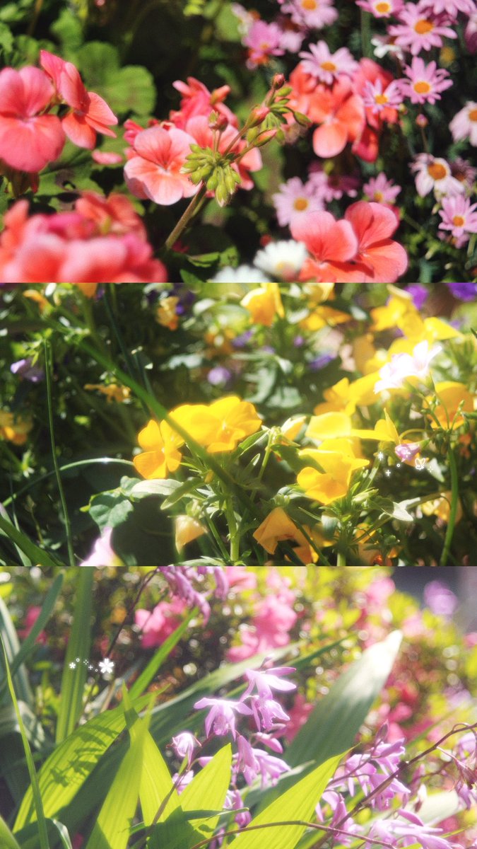 햇살은 따스하고 바람은 시원한 5월 
올드렌즈랑 산책 🌿