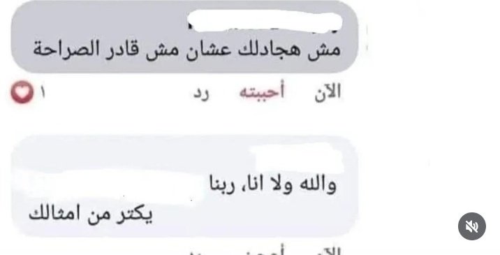 حلا tweet media