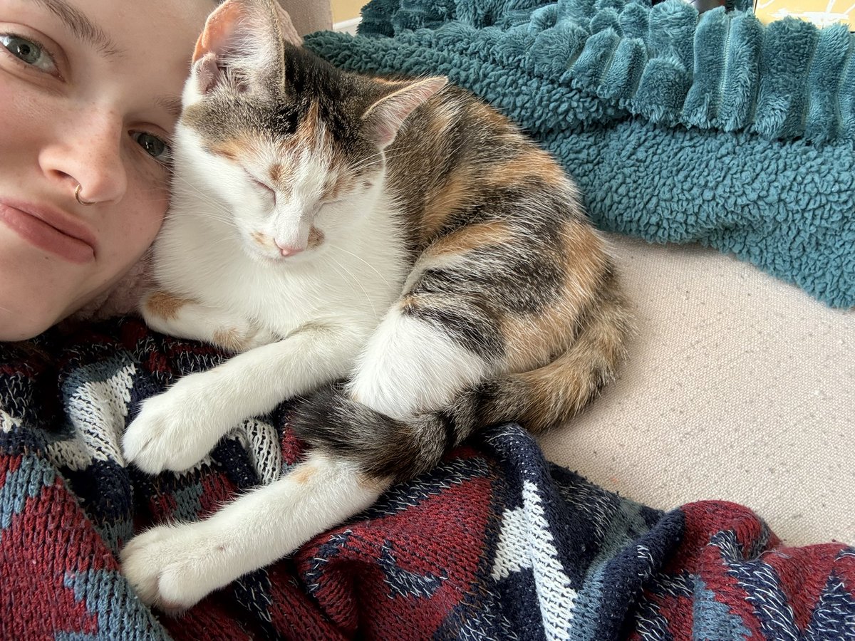 ryn (& apple) ‧₊ 🍒 ᵎᵎ tweet media