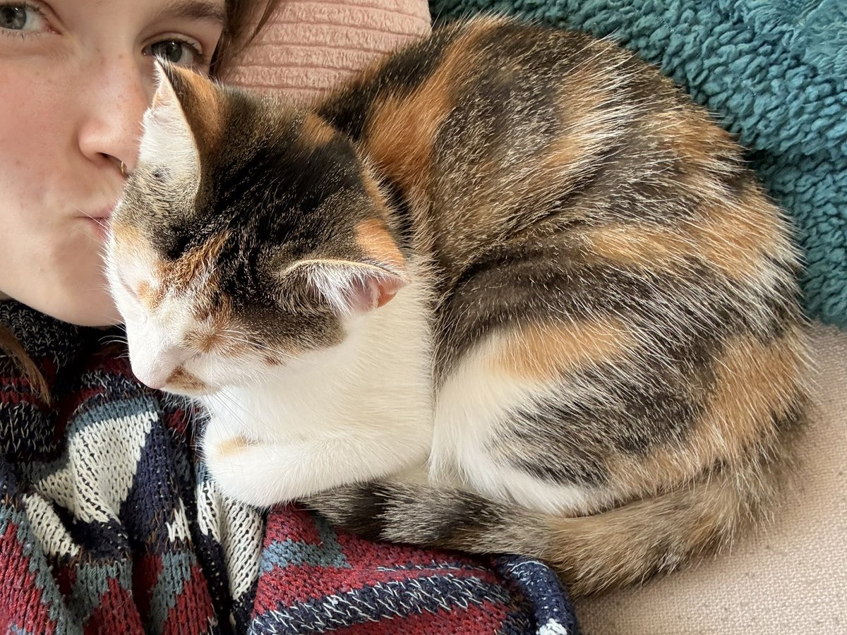 ryn (& apple) ‧₊ 🍒 ᵎᵎ tweet media