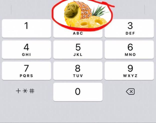 pineapple chimp tweet media