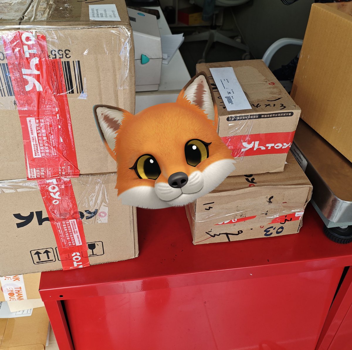 🦊MiniFox🦊 tweet media