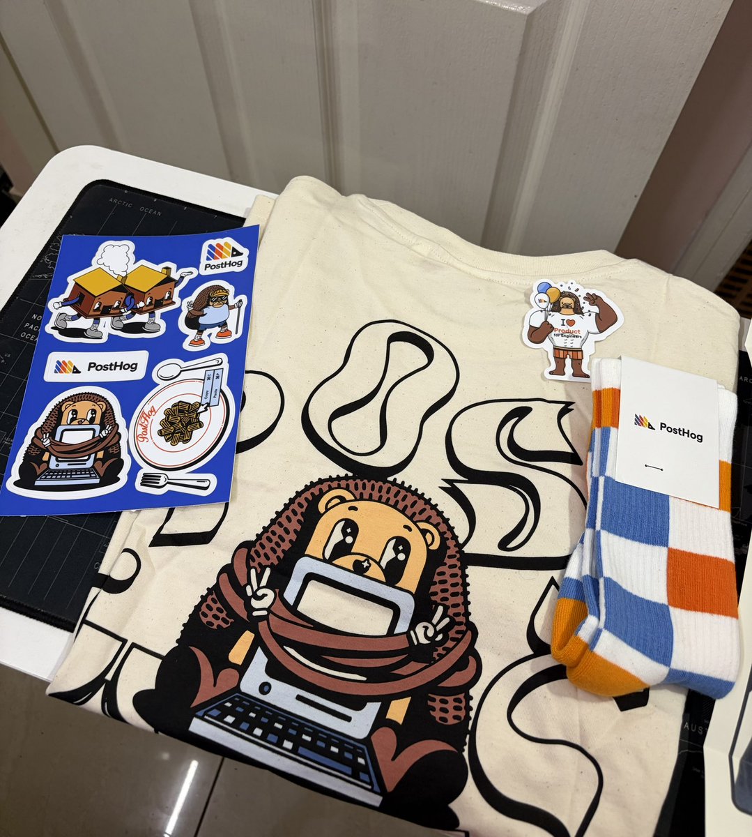 aakritiak_'s tweet photo. Thank you @posthog for the cool merch! 🦔 https://t.co/KD6Hnazz35