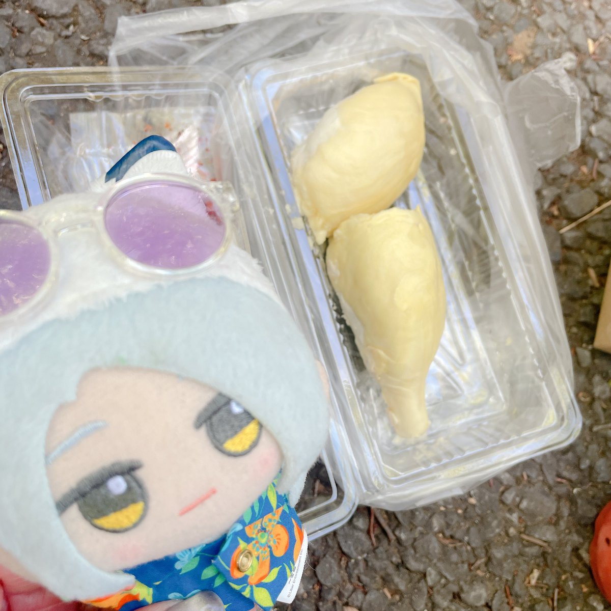 marnuinui's tweet photo. ドリアンはビールと食べちゃいけない🍻 https://t.co/0h237OXhSL