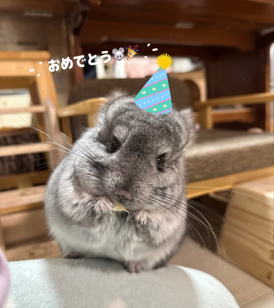 こっとん tweet media