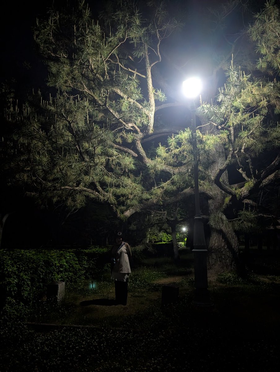 _sth_round_'s tweet photo. 夜の京都御苑たのしかった https://t.co/0l1ZVnVgWY