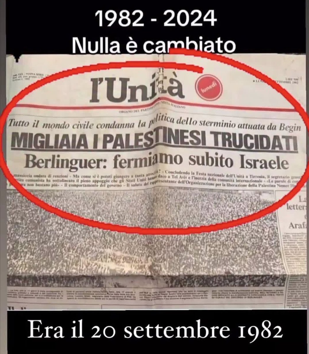 Nicola Indelicato tweet media
