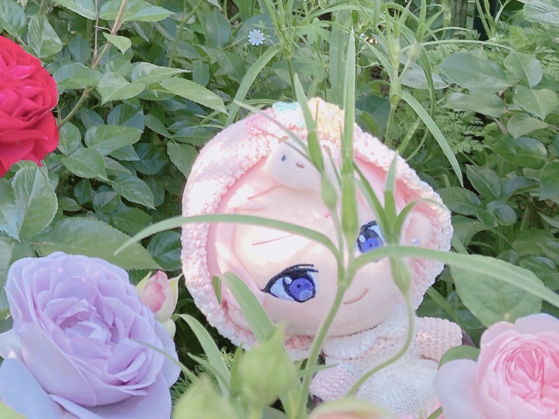testament_444's tweet photo. ❔ https://t.co/JG7QrYORdM