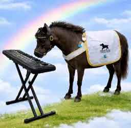 YaYagami100x's tweet photo. Blackpearl The Keyboard Horse
CA: FVFkkSou9xJePuoNSuxw4AoPk8kpzbm5LwVuwMbeRJTK https://t.co/o9ofstg1Yt