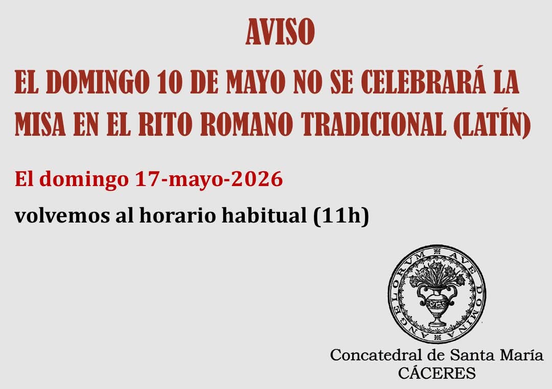 Misas Tradicionales en España tweet media