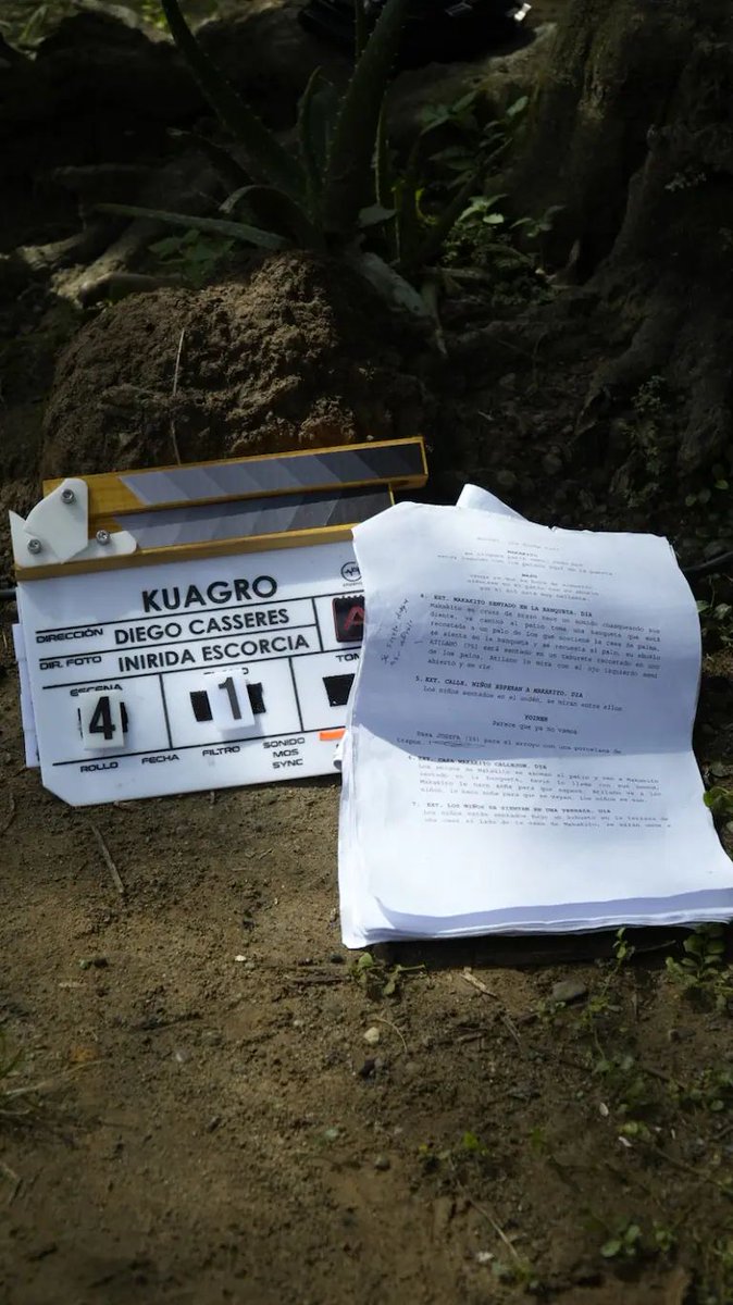 RadNalCo's tweet photo. #Regiones I Hoy en #AutóctonosyOriginales conversamos con el director de cine y realizador palenquero Diego Casseres, quien nos habla sobre su más reciente producción “Kuagro” presentada en la selección de Indias del FICCI.  

La película se centra en la costumbre ancestral del kuagro, una organización social de amistad, pilar de la vida de cada habitante, que se mantiene hasta que el último de sus miembros fallece. 

En el Palenque de Benkos, el kuagro ha sido crucial para la supervivencia de sus habitantes a lo largo de su historia, por ello Diego Casseres nos cuenta su visión narrativa al resaltar la importancia de crear comunidad para vivir.