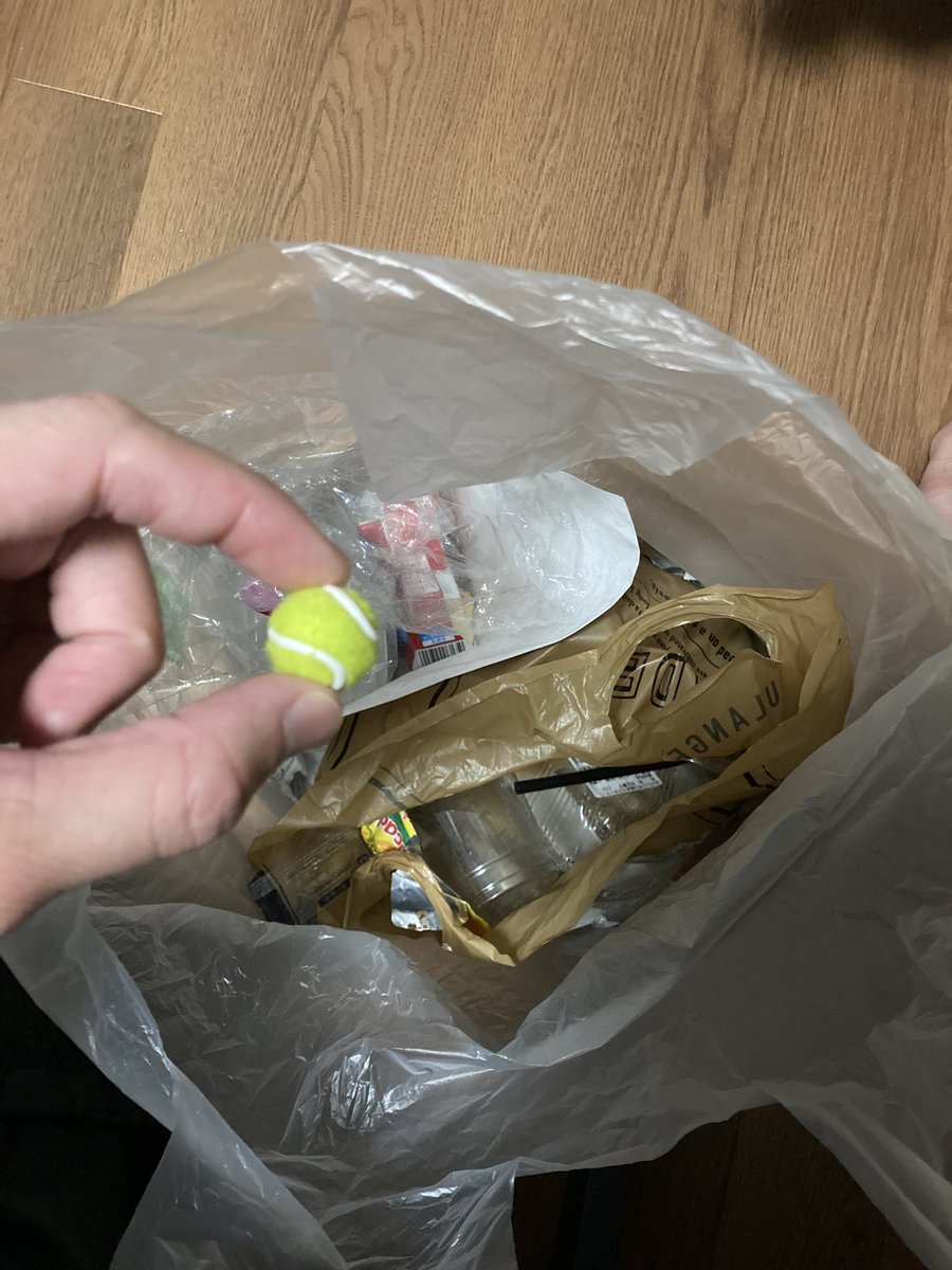 ミブロの傍にゴミ入りの袋捨ててったやつ、完全にナメとるね！
奥歯をガタガタ言わせ節するぞ！

そんな今日のMVPはミニミニテニスボールくん🎾

#ゴミ拾い