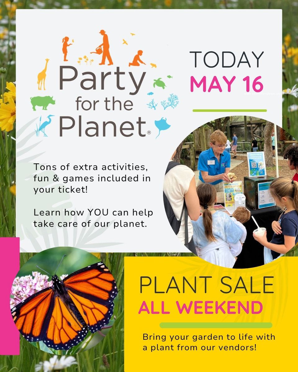 Central Florida Zoo tweet media