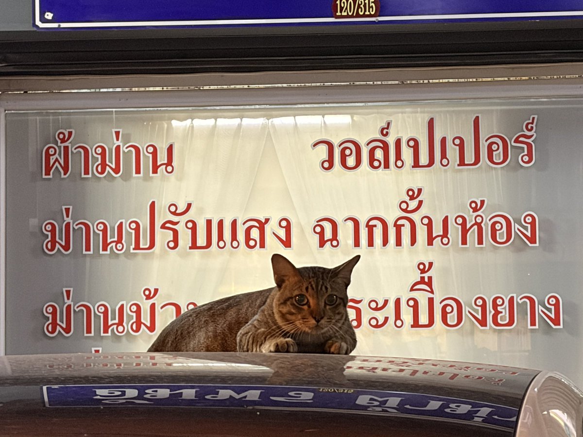 สนใจผ้าม่าน ติดต่อสอบถามได้ แต่ไม่ตอบนะ