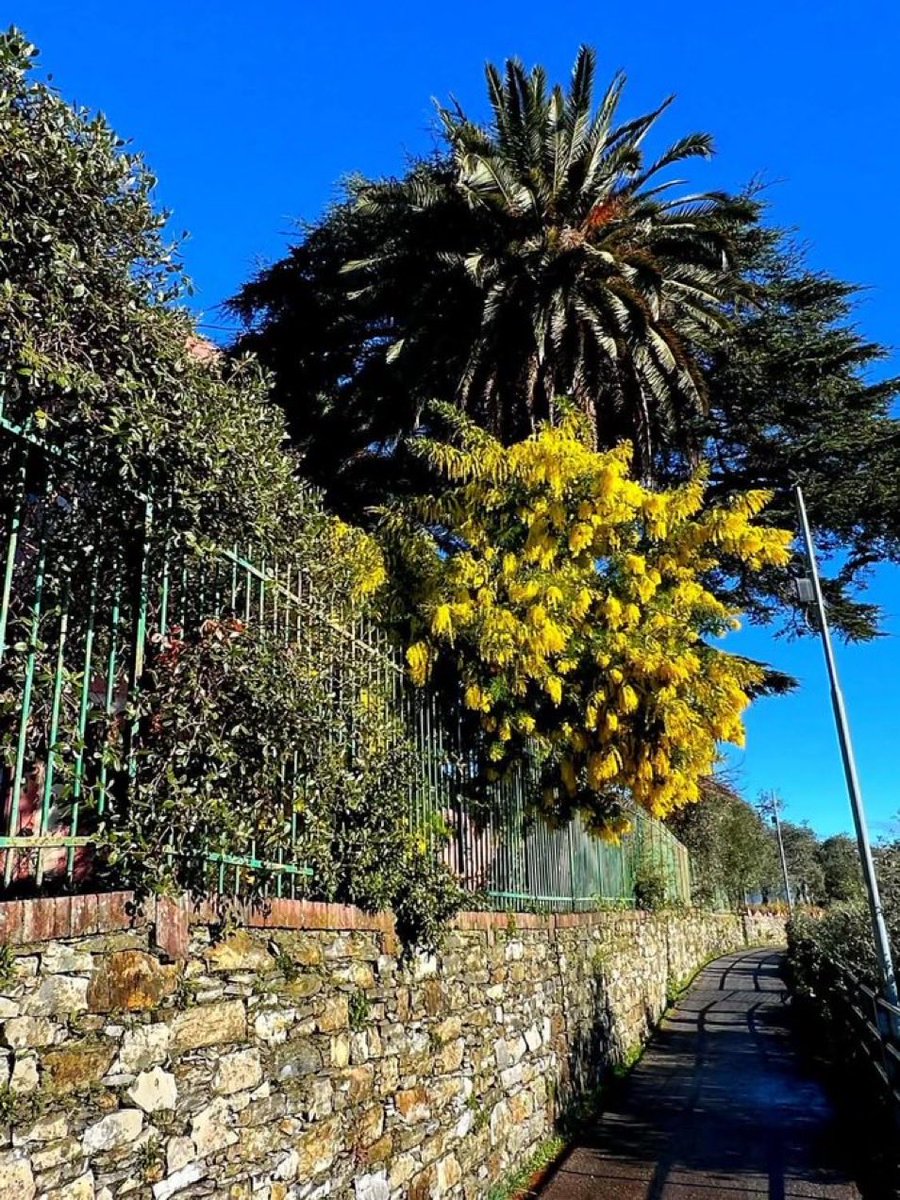 Alberto63Al's tweet photo. #AMiaMadre
Io pensavo a mia madre e rivedevo i suoi vestiti
il più bello era a fiori non ancora appassiti…
#Battisti
#Mogol
#SalaLettura https://t.co/tRjNuvuj7Q