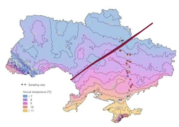 Мамчин урбаніст🇺🇦 tweet media