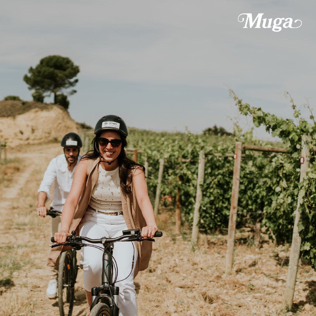 Bodegas Muga tweet media