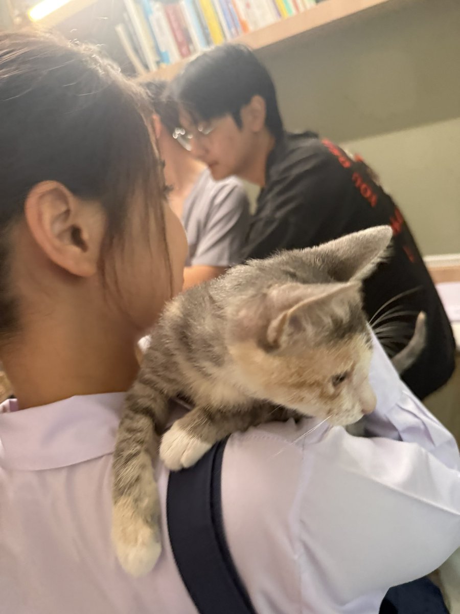 PUIFAI (Jane) tweet media