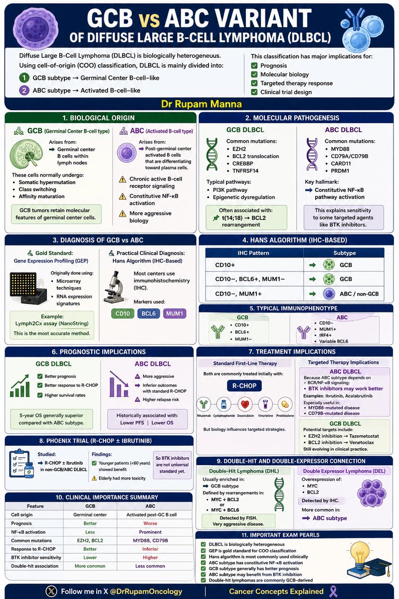 🚨 GCB vs ABC VARIANT OF DIFFUSE LARGE B-CELL LYMPHOMA (DLBCL) 📊 One of ...