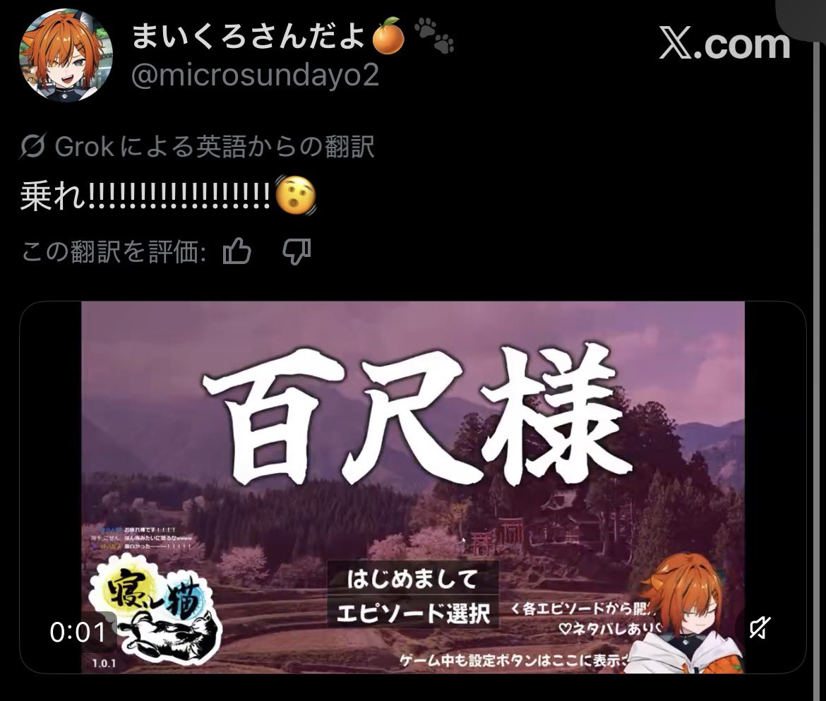 まいくろさんだよ🍊🐾 tweet media