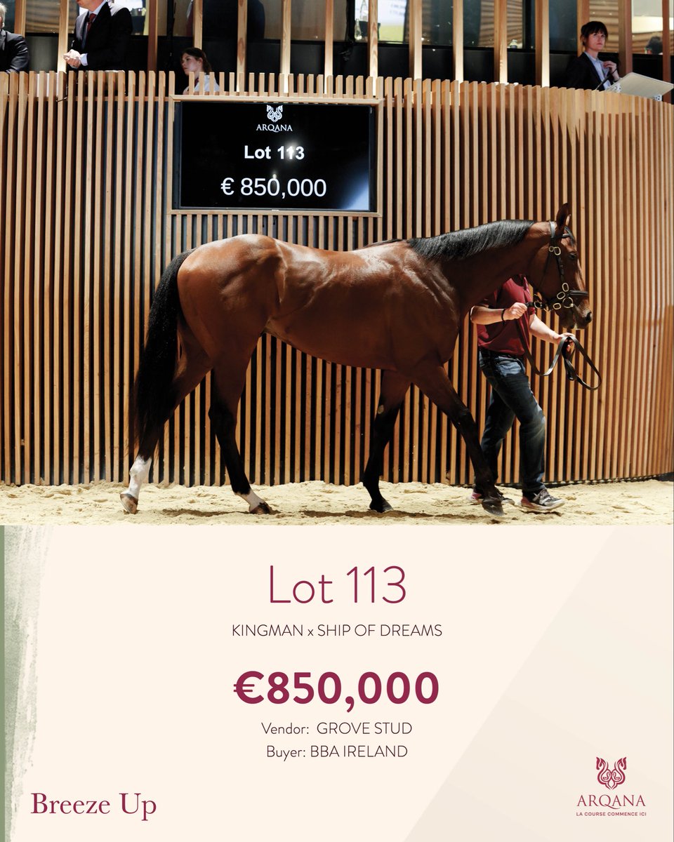 ARQANA tweet media