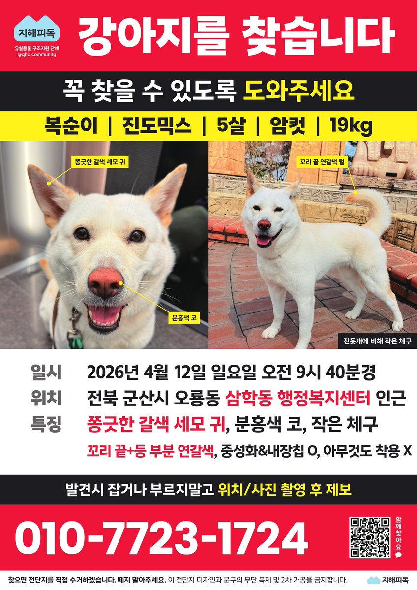 가족찾는 강아지들🐾 tweet media