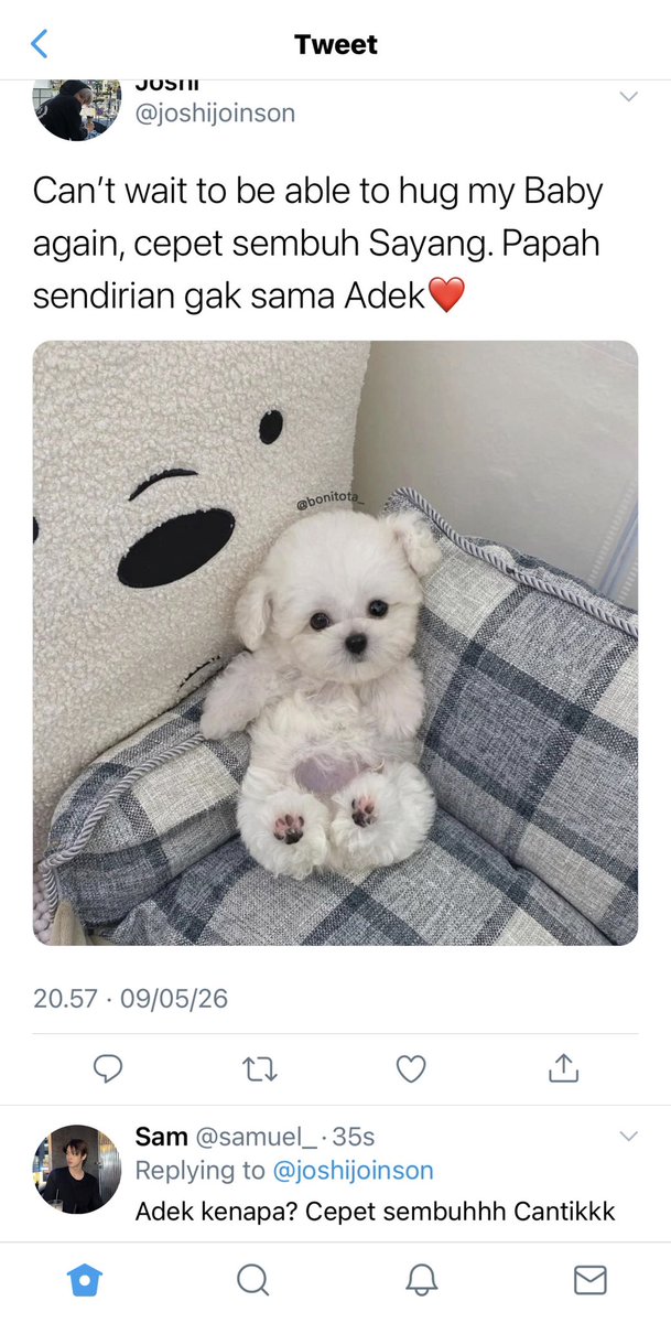 clara tweet media