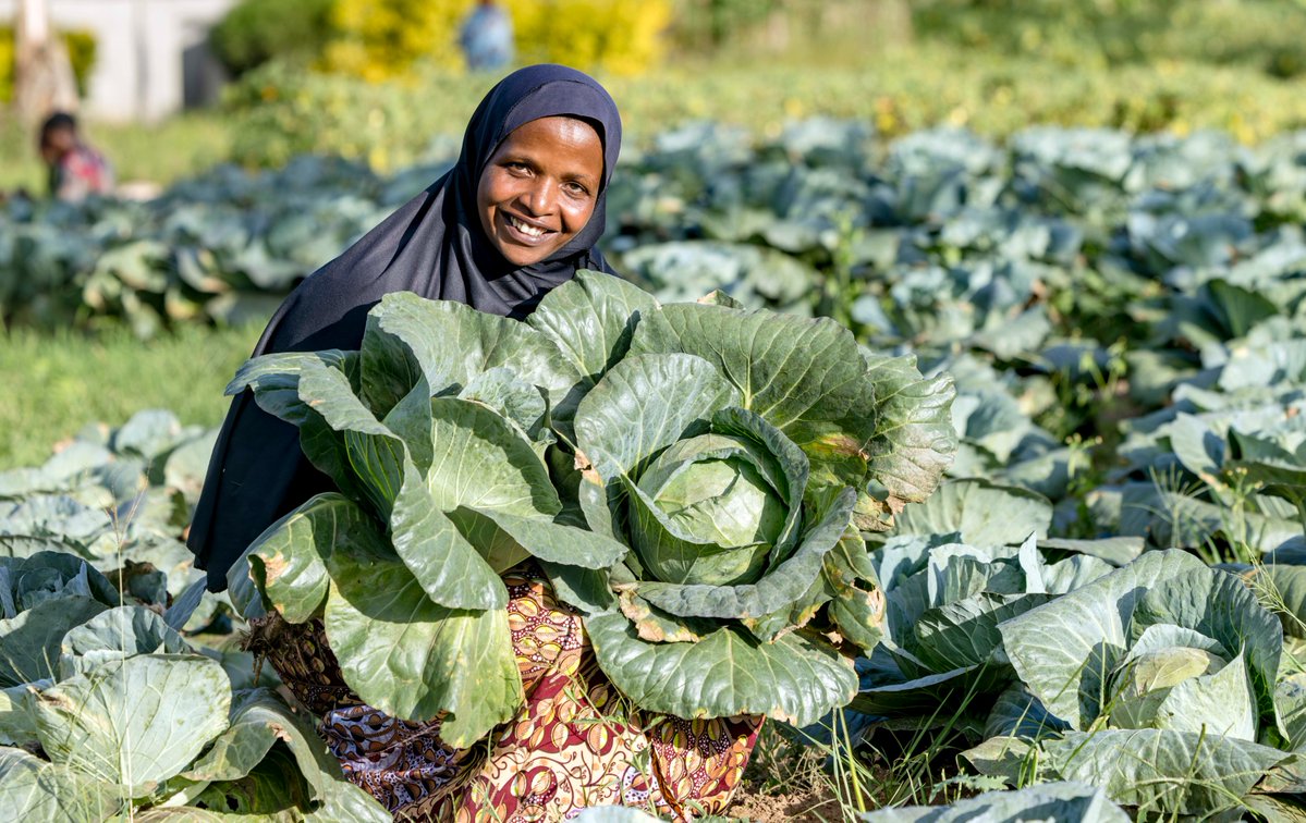 FAO in Rwanda tweet media