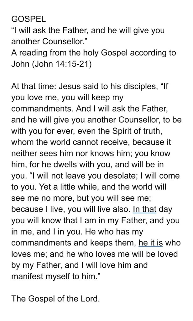 Eternal Word! tweet media