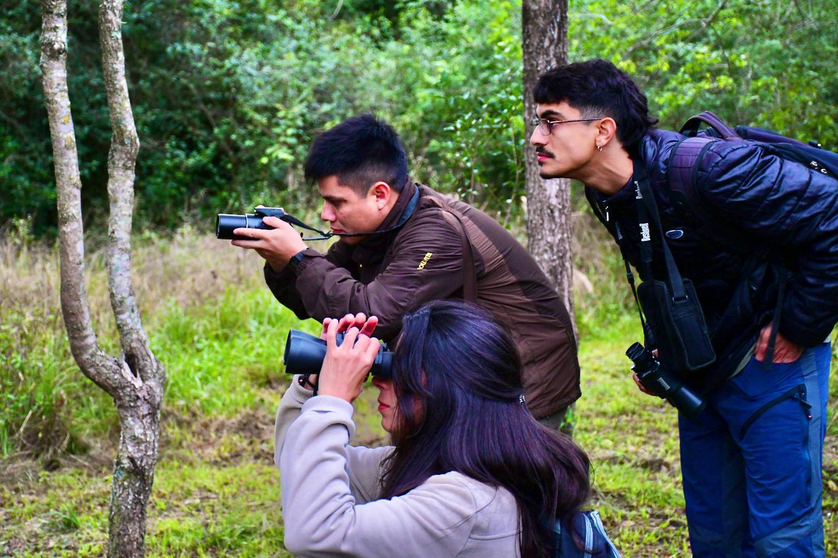 municorrientes's tweet photo. El Global Big Day se realizó en la Reserva Natural Santa Catalina con la participación de 30 vecinos 🌳 Durante la jornada de observación de aves promovimos el registro de especies y el compromiso con la conservación de la biodiversidad 🐦 💚 https://t.co/cQ6AuJDo5D